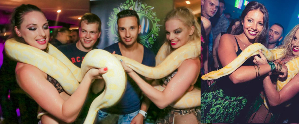 Een danseres de gasten laat verwelkomen met een slang